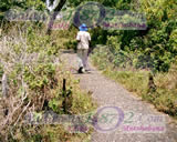 Pathway in the Garden Surrounding the vic falls