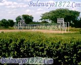 Basket ball courts, Montrose High School Bulawayo